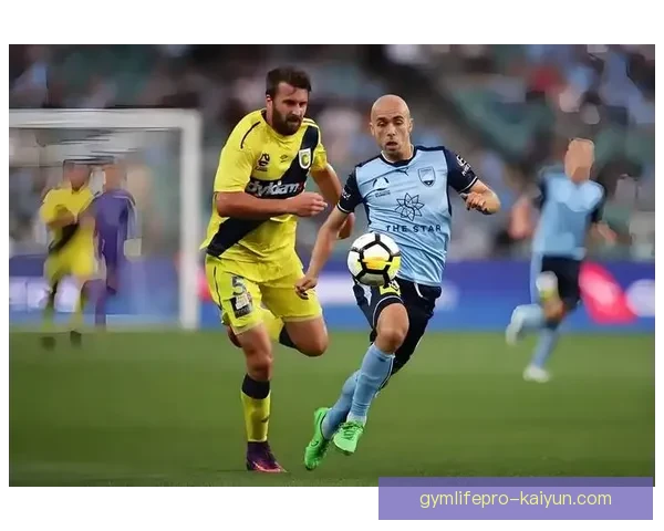 西布朗中场发挥稳健，展现卓越控制力助球队稳步前进