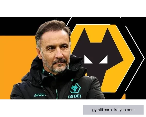 英超狼队状态回暖，近期表现稳健引发关注